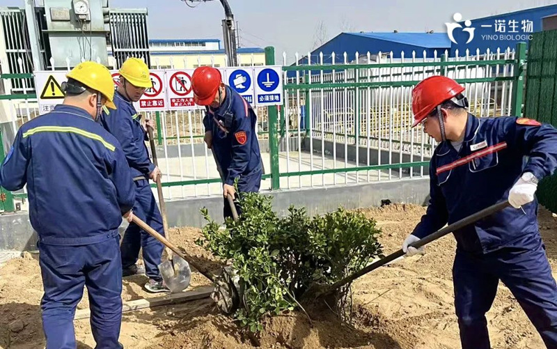 共植绿色未来,化工企业植树活动,环保,绿色工厂